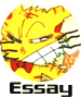 Essay